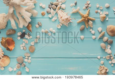 Seashells on blue wood, sea vacation background with copy space on wooden planks, top view