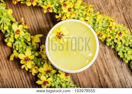 a mullein - verbascum extract - close up