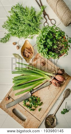 Green onion, dill on the cutting board, topshot