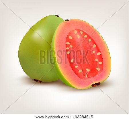 Fresh green Guava fruit . Vector illustration.