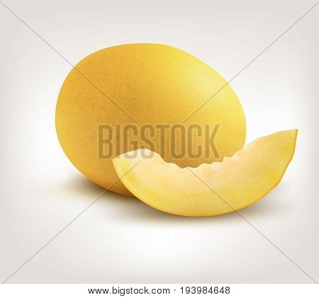 Yellow Honeydew Melon on White Background. Vector