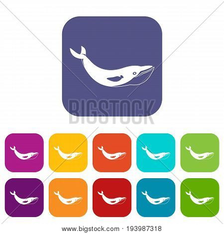 Whale icons set vector illustration in flat style In colors red, blue, green and other