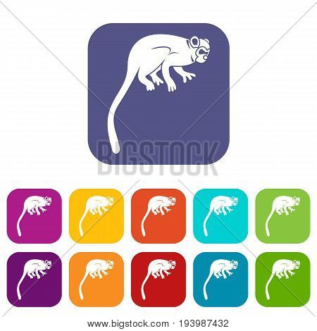 Marmoset monkey icons set vector illustration in flat style In colors red, blue, green and other