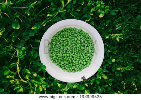A bowl of young peas on the grass. Top view