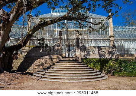 Botanic Garden Of The Coimbra University In Portugal