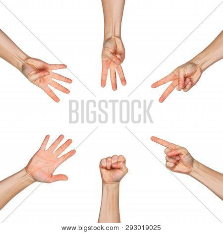 Five Male Hands Raise Up, In Fist, One Finger Pointing Up, Two Fingers Pointing Up, Three Fingers Po