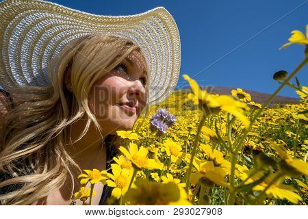 Beautiful Blond Woman Wearing White Straw Hat In A Yellow Wildflower Field, Looking Up At A Blue Sky