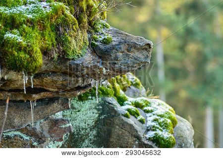 Rocks Overgrown With Moss, A Harsh Climate In Winter.