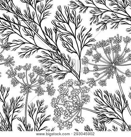 Dill Plant Vector Pattern On White Background