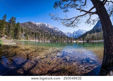 Tree On Lake Jasna With Mountains Razor And Prisojnik On The Horizont In Slovenia