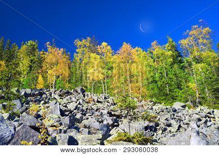 Morning Shooting Of The Rocky Slope Of Mount Syvula Gambler With Autumn Birches And Coniferous Fores