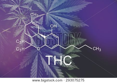 Thc Formula, Tetrahydrocannabinol . Medical Marijuana, Despancery Business. Cannabinoids And Health,