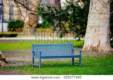 Gray Bench In French Style In A Greenpark. Spring Time Season