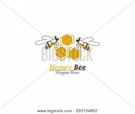 Honey Bee Logo Template Vector Icon