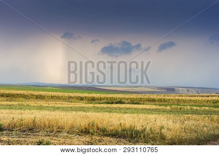 Rural Scenery In Moldavia With Fields Of Corn And Sunflower At Sunset