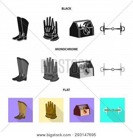Vector Design Of Equipment And Riding Icon. Set Of Equipment And Competition Vector Icon For Stock.