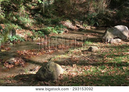 Agios Nikolaos Park Naousa Greece Europe