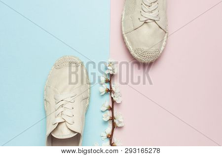Beige Fashionable Women's Espadrilles With Spring Flowering Branch On Color Pastel Blue Pink Backgro