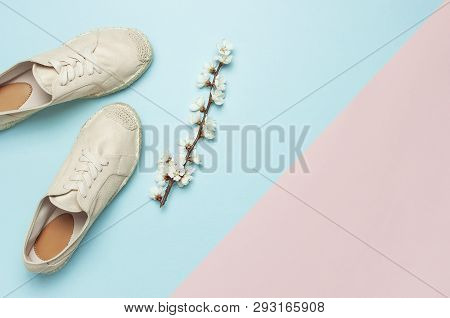 Beige Fashionable Women's Espadrilles With Spring Flowering Branch On Color Pastel Blue Pink Backgro