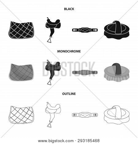 Vector Design Of Equipment And Riding Symbol. Collection Of Equipment And Competition Vector Icon Fo