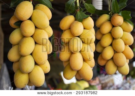 Marian Plum Or Gandaria Or Plum Mango On Stall For Sell At Local Shop In Thailand
