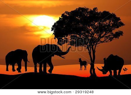 Afrikanische Wildnis Sonnenuntergang Szene