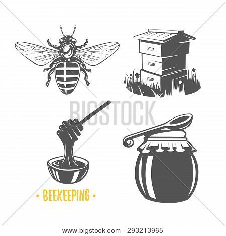 Beekeeping. Set Of Vintage Honey Labels, Badges, Logotypes And Design Elements. Apiary Logo Template