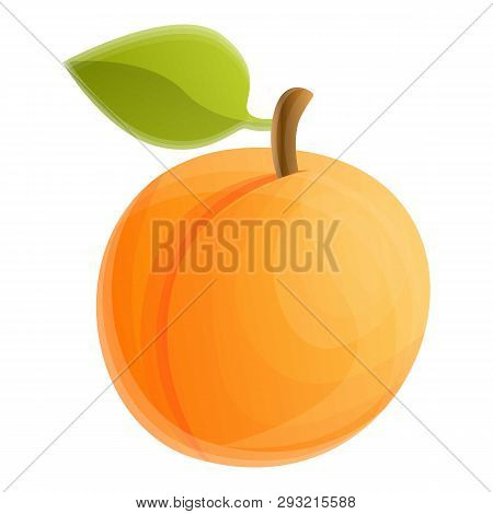 Garden Tree Apricot Icon. Cartoon Of Garden Tree Apricot Vector Icon For Web Design Isolated On Whit