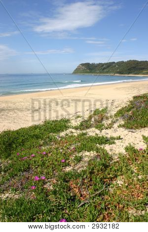 Dudley Beach - Newcastle Australien