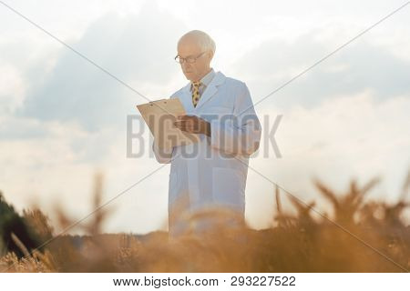 Agricultural scientist tracking data for new breed of grain on a clipboard 