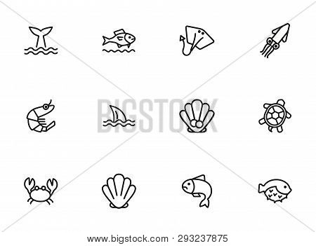 Seaanimal Concept. Vector Illustration Can Be Used For Topics Like Seafood, Cuisine, Cooking