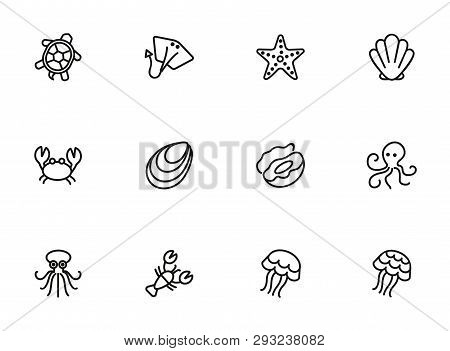 Ocean Habitats Icon Set. Seaanimal Concept. Vector Illustration Can Be Used For Topics Like Seafood,