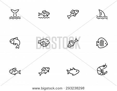 Sea Products Icon Set. Seaanimal Concept. Vector Illustration Can Be Used For Topics Like Seafood, C