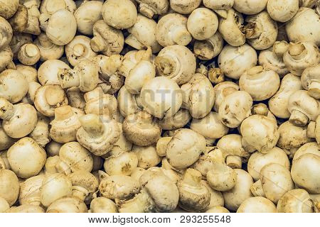 Raw Natural Champignon Mushrooms Background. Top View.