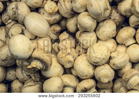Raw Natural Champignon Mushrooms Background. Top View.