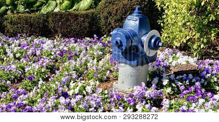 Blue Painted Fire Hydrant In A Field Of Vivid Flowers.