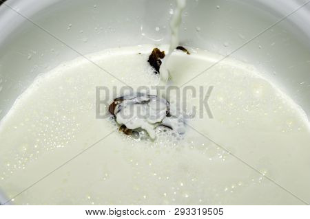 Hushaf - Date Milk, A Traditional Dish Of Ramadan, Cooking, Ingredients, Seedless Dates Lying In A S