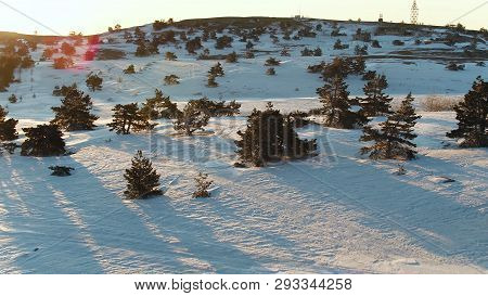 Aerial View Over The Spectacular Slopes Of The Mountains With Spruces. Shot. Winter Landscape Of Pin