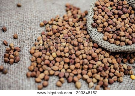 Close Up Shot Of Chickpea Or Chana Or Gram Or Cicer Arietinum In A Gunny Bag On A Brown Colored Back