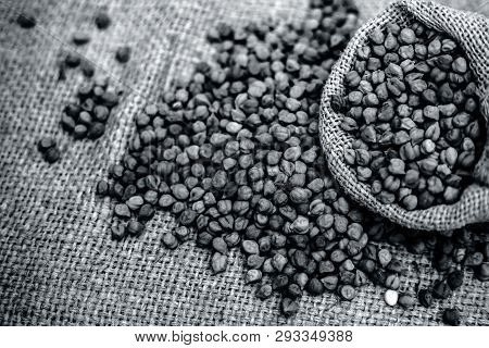 Close Up Shot Of Chickpea Or Chana Or Gram Or Cicer Arietinum In A Gunny Bag On A Brown Colored Back