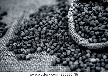 Close Up Shot Of Chickpea Or Chana Or Gram Or Cicer Arietinum In A Gunny Bag On A Brown Colored Back