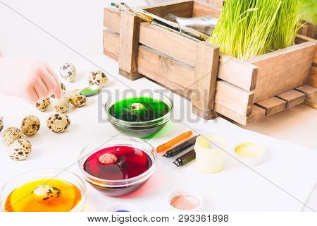 Preparation For Easter. Painting Small Quail Eggs For Easter Hunter. Colorful Paints For Egg's Decor