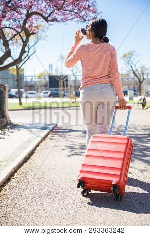 Back View Of Young Woman Pulling Trolley Case Outdoors. Lady Drinking Coffee And Walking With City V