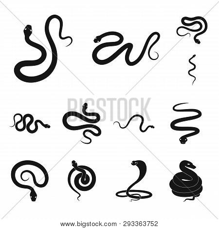 Vector Design Of Nature And Medicine Icon. Set Of Nature And Evil Stock Symbol For Web.