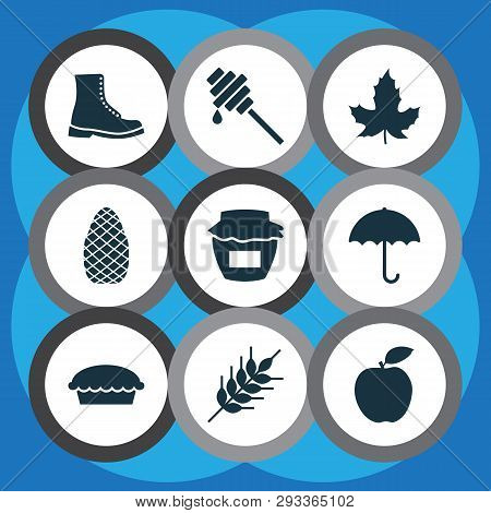 Autumn Icons Set With Wheat, Pine Cone, Umbrella And Other Cedar Elements. Isolated Vector Illustrat