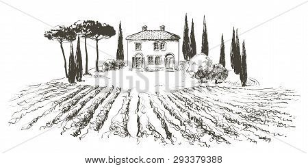 Vine Hills Landscape. Vector Line Sketch Illustration