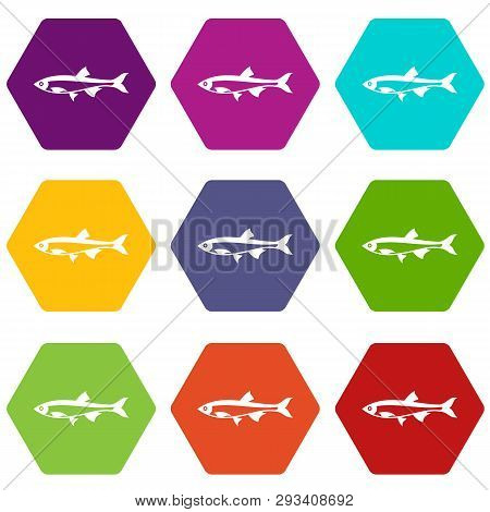 Herring Fish Icon Set Many Color Hexahedron Isolated On White Illustration