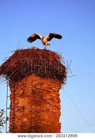 A Huge Nest And A Couple Of Stork Birds On The Old Brick Factory Chimney. Sunset In July. Poland. Cl