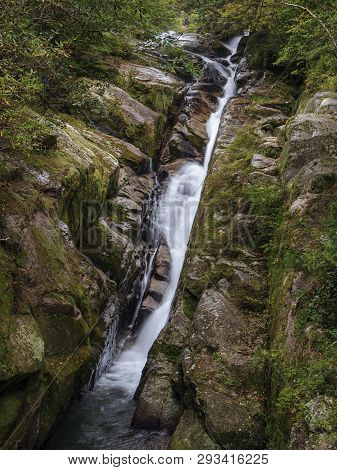 Shiratani Unsuikyo Tropical Rainforest With The Beauty Of Mosses And Rivers