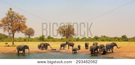 Laefe Herd Og Elephants At A Waterhole In Hwange National Park, Zimbabwe